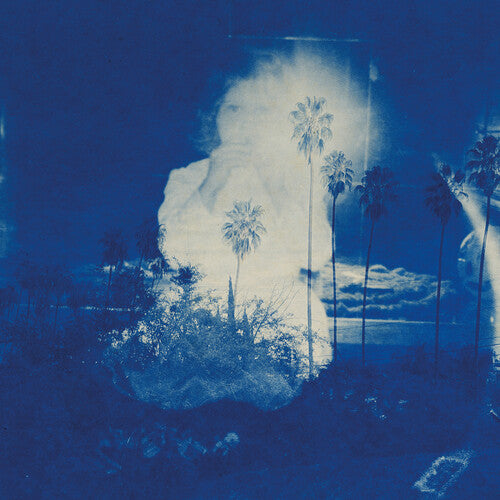 Picture of the Music Record - A River Running to Your Heart by Fruit Bats