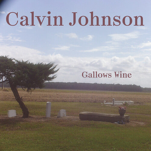 Picture of the Music Record - Gallows Wine by Calvin Johnson