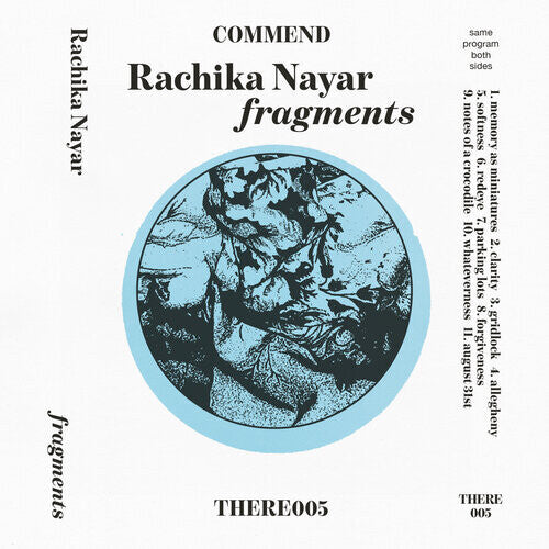 Picture of the Music Record - fragments - expanded by Rachika Nayar