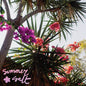 Picture of the Music Record - Campanita by Summer Salt
