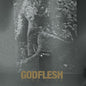 Picture of the Music Record - Pure Live by Godflesh