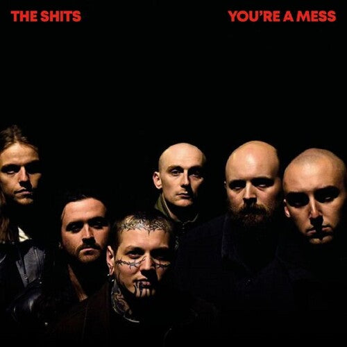Picture of the Music Record - You're A Mess by Shits
