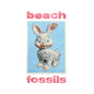Picture of the Music Record - Bunny - Powder Blue by Beach Fossils