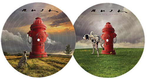 Picture of the Music Record - Signals (40th Anniversary) by Rush