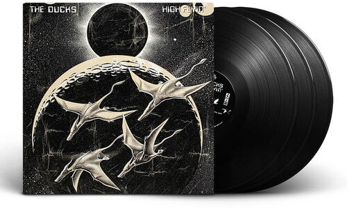 Picture of the Music Record - High Flyin by Ducks
