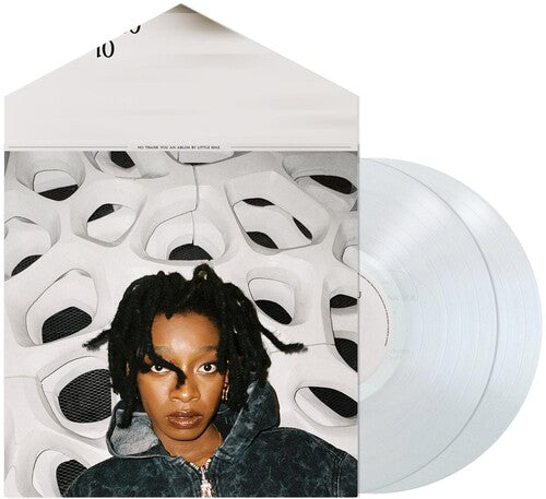 Picture of the Music Record - No Thank You by Little Simz