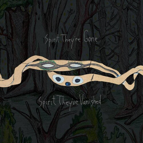 Picture of the Music Record - Spirit They're Gone Spirit They've Vanished by Animal Collective