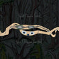 Picture of the Music Record - Spirit They're Gone Spirit They've Vanished by Animal Collective