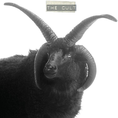Picture of the Music Record - The Cult by The Cult