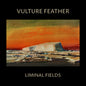 Picture of the Music Record - Vulture Feather - Bone by Vulture Feather