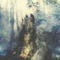 Picture of the Music Record - Wistful by Sylvaine