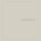Picture of the Music Record - Aphorisms by Graham Lambkin