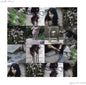 Picture of the Music Record - Figura De Cristal - Baby Pink by Estrella Del Sol