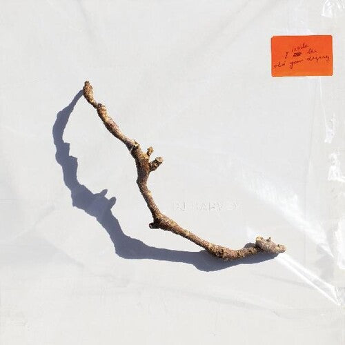 Picture of the Music Record - I Inside The Old Year Dying by PJ Harvey