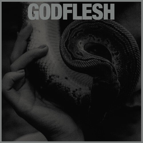 Picture of the Music Record - Purge by Godflesh