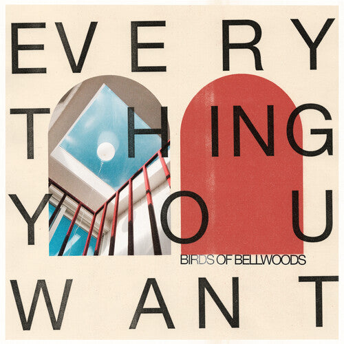 Picture of the Music Record - Everything You Want [Explicit Content] by Birds of Bellwoods