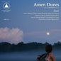 Picture of the Music Record - Love - Blue & White Marble by Amen Dunes