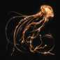 Picture of the Music Record - Back To The Water Below by Royal Blood