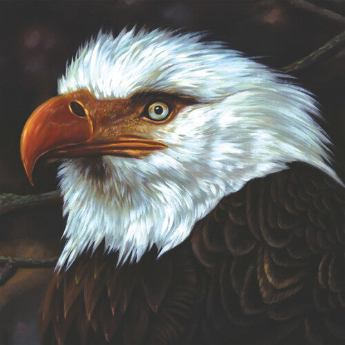 Picture of the Music Record - The Hawk Is Howling by Mogwai