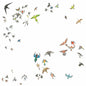 Picture of the Music Record - No Fixed Point In Space by Modern Nature