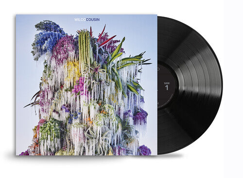 Picture of the Music Record - Cousin by Wilco