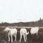 Picture of the Music Record - The Albatross: Ten Years by Foxing