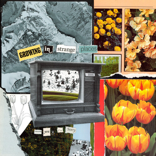 Picture of the Music Record - Growing In Strange Places - Orange Crush by I'm Sorry Thank You