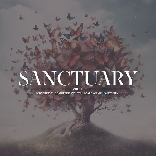 Picture of the Music Record - Sanctuary Vol. 1 by Various Artists