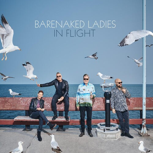 Picture of the Music Record - In Flight by Barenaked Ladies