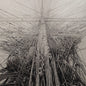 Picture of the Music Record - Arone Dyer & Stargaze by Arone Dyer & Stargaze