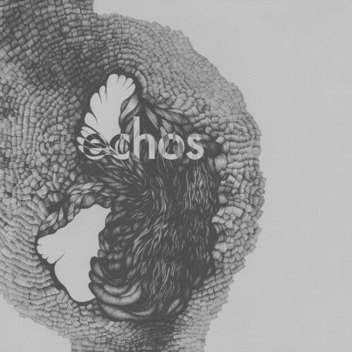 Picture of the Music Record - Echos by Late Night Alumni