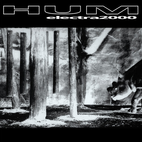 Picture of the Music Record - Electra 2000 by Hum