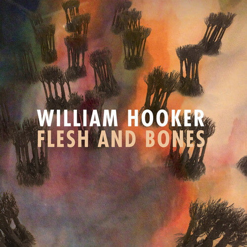 Picture of the Music Record - Flesh and Bones by William Hooker