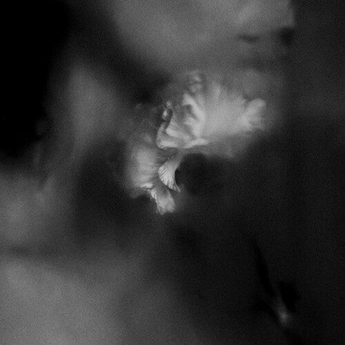 Picture of the Music Record - Holding Absence - Clear W/  Black Splatter by Holding Absence