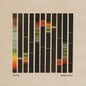 Image of the Music Record - Painting By Numbers - Orange by In the Pines