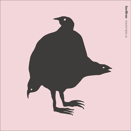 Picture of the Music Record - Rarities 2 by Ane Brun