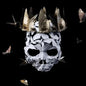 Picture of the Music Record - Come of Age by Princess Goes