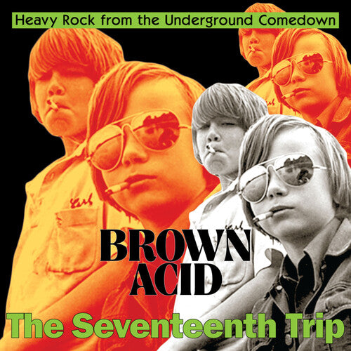 Picture of the Music Record - Brown Acid - The Seventeenth Trip (Various Artists) by Various Artists