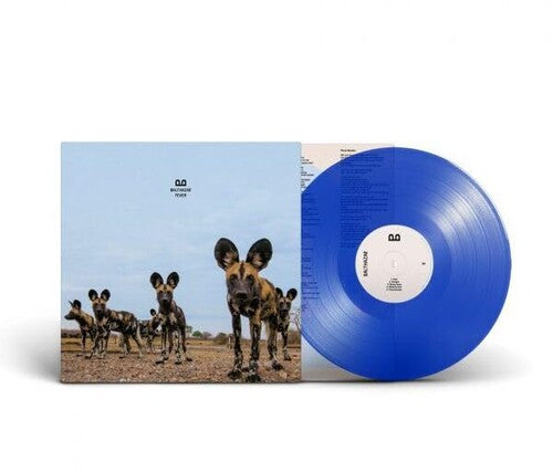 Picture of the Music Record - Fever - Blue by Balthazar