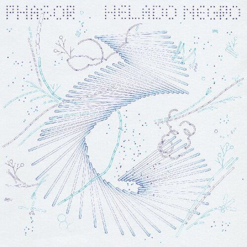Picture of the Music Record - Phasor by Helado Negro
