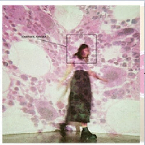 Image of the Music Record - Sometimes, Forever by Soccer Mommy