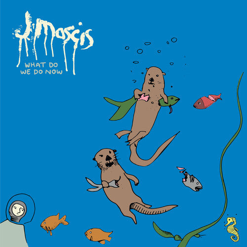 Picture of the Music Record - What Do We Do Now by J Mascis