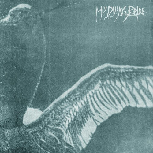 Picture of the Music Record - Turn Loose The Swans ( 30th Anniversary Marble Ed) by My Dying Bride