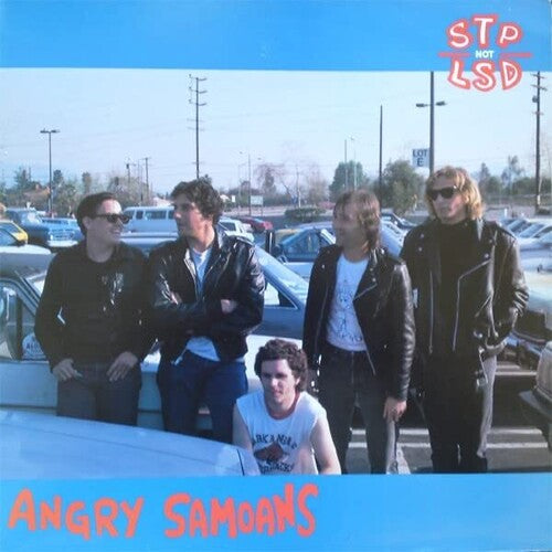Picture of the Music Record - Stp Not Lsd by Angry Samoans
