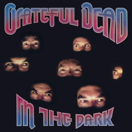 Picture of the Music Record - In The Dark by Grateful Dead