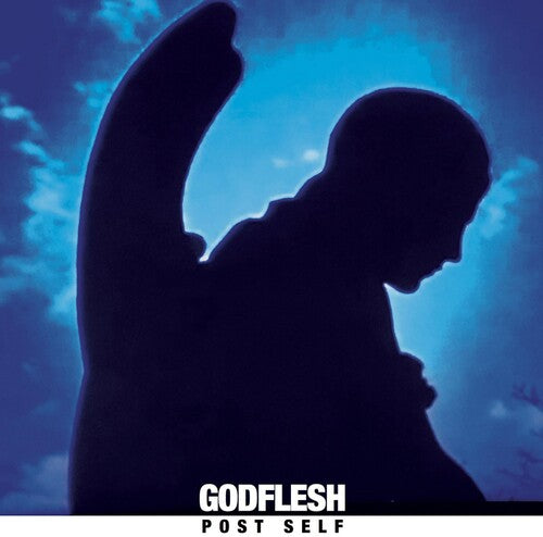 Picture of the Music Record - Post Self by Godflesh
