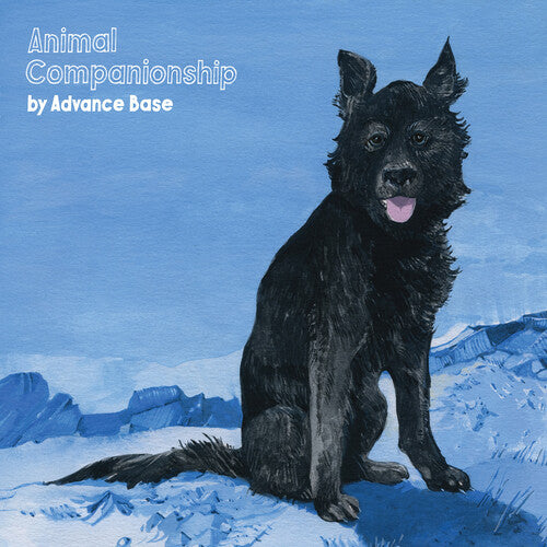 Picture of the Music Record - Animal Companionship by Avance Base