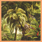 Picture of the Music Record - La Foret by Xiu Xiu