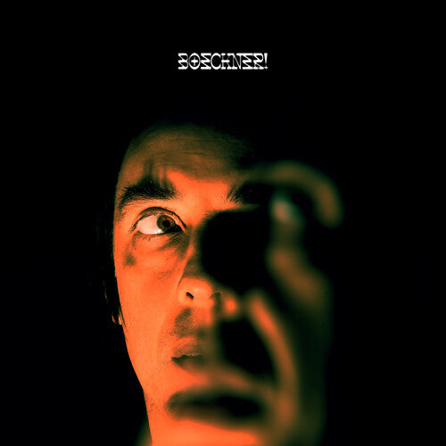 Picture of the Music Record - Boeckner! by Boeckner