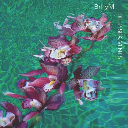 Picture of the Music Record - Deep Sea Vents by Brhym